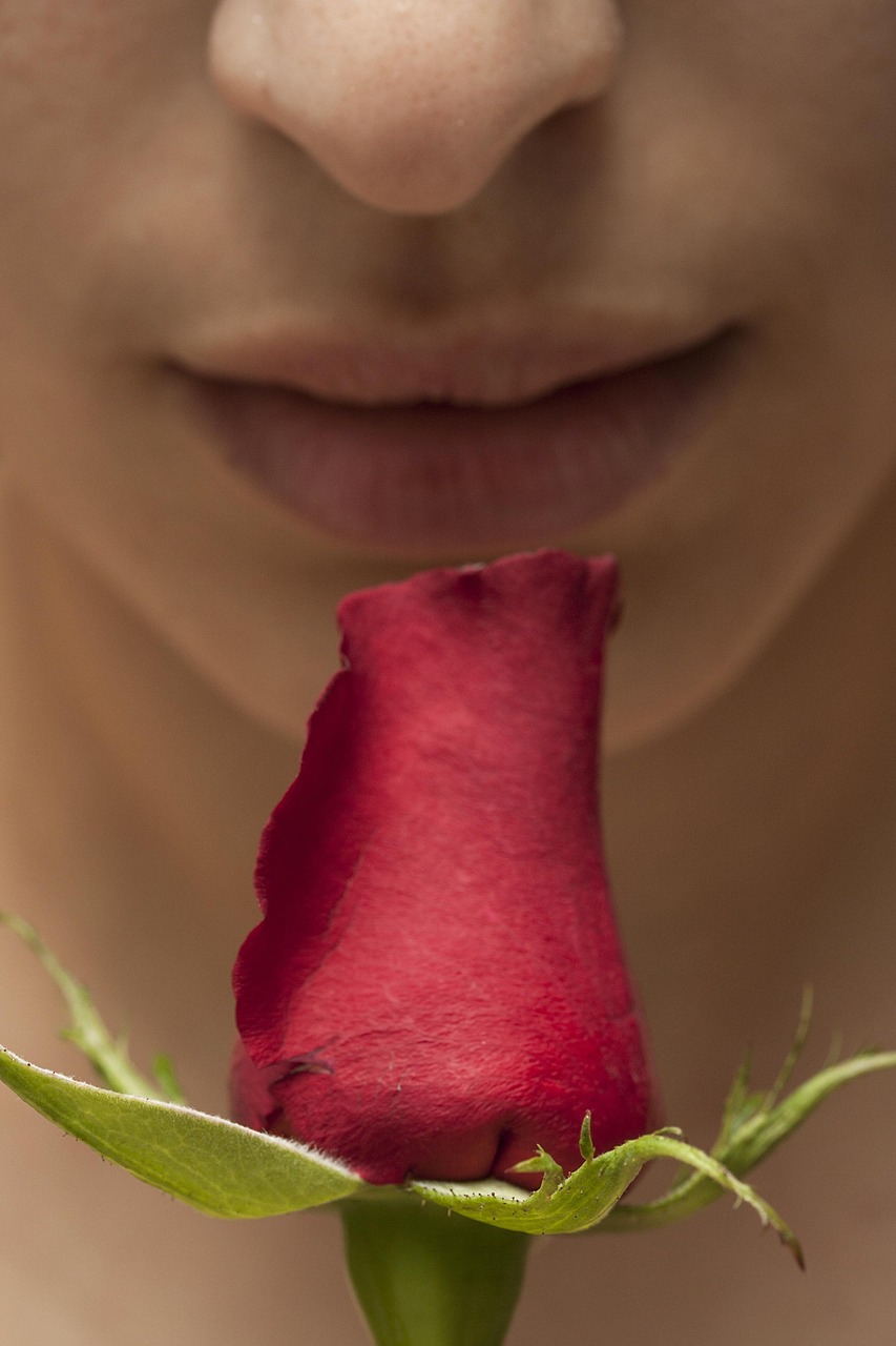 Visage de femme, nez et bouche qui sent une rose rouge